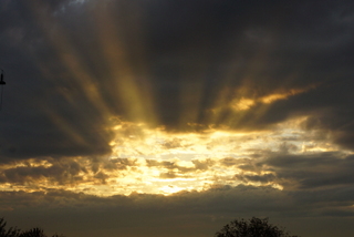 dsc02396-1.jpg