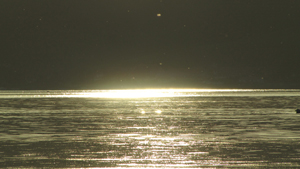 img_3826.jpg
