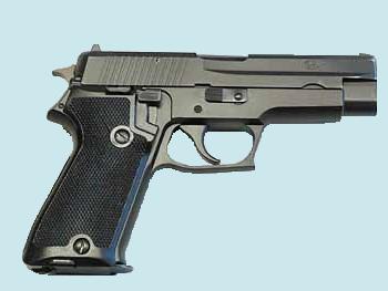 p229